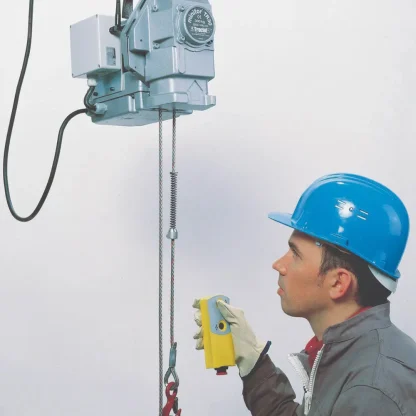 minifor hoists with remote hire